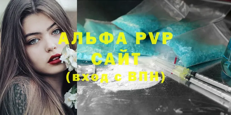 A PVP СК  Бокситогорск 